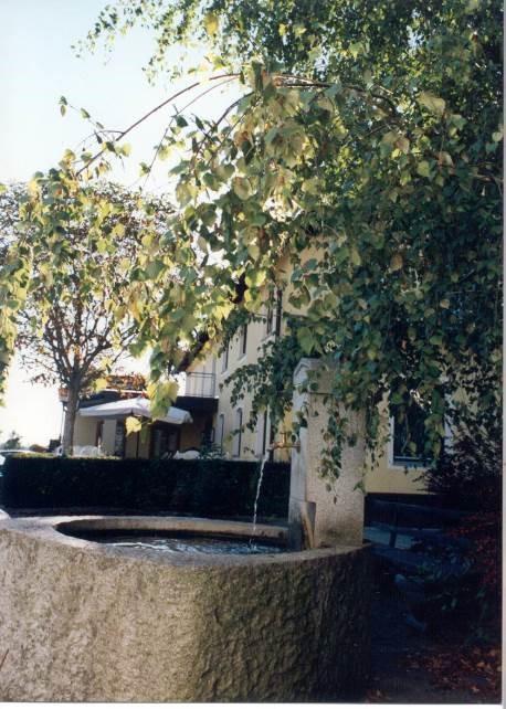 Gasthof Pension Kirschner Lappersdorf  エクステリア 写真